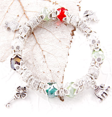 Bracelet Charms and color