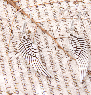 Earrings Small Wings