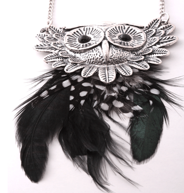 Owl black and white feathers