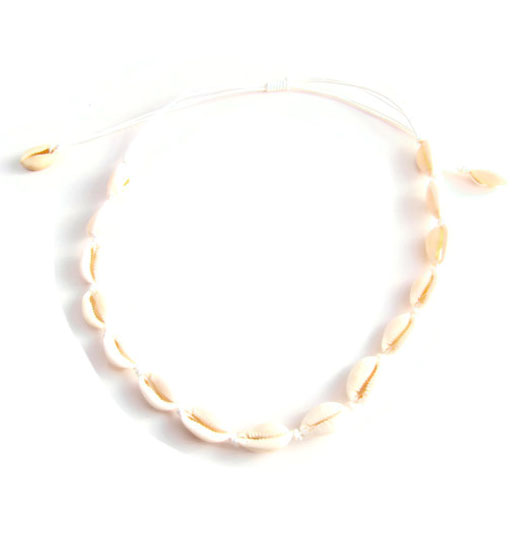 Kauri-shell white rope